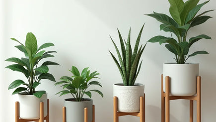 Guide to the Best Indoor House Plant Stands for Small Spaces