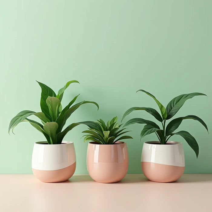 Indoor Ceramic Planter Pots - Indoor Ceramic Planter Pots Elevate Your Indoor Garden