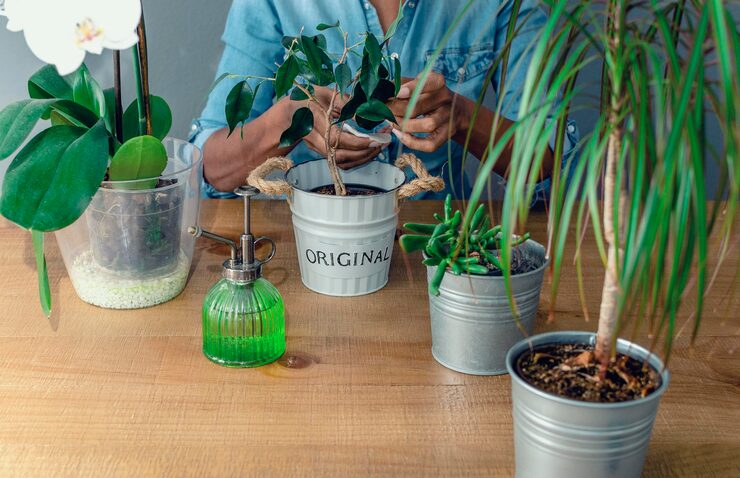 The Best Materials for Planters and Their Pros and Cons