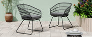 TERRY CHAIR,2PCS with 2 Cushions,Gray - DTYStore