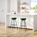 Modern Glam Upholstered Faux Velvet Bar Stool – Emerald - DTYStore