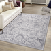 DTY Signature Collection 8X10 Grey/Silver/Oriental Non-Shedding Living Room Bedroom Dining Home Office Stylish and Stain Resistant Area Rug - DTYStore