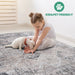 DTY Signature Collection 5X7 Cream/Anthracite /Traditional Non-Shedding Living Room Bedroom Dining Home Office Stylish and Stain Resistant Area Rug - DTYStore