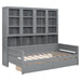 Twin Size Wooden Daybed with Glass-Door Storage Cabinets, Built-in LED Lighting and Shelves, Gray - DTYStore
