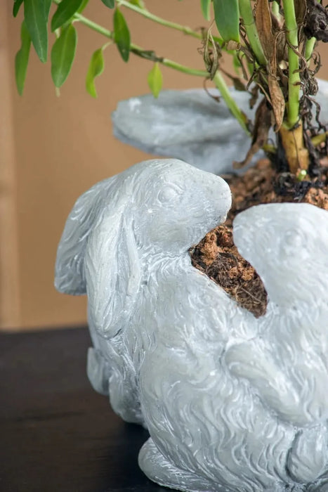 10x8x6.5' 5 Bunny Cement Planter Default -DTYStore