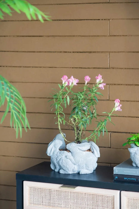 10x8x6.5' 5 Bunny Cement Planter Default -DTYStore