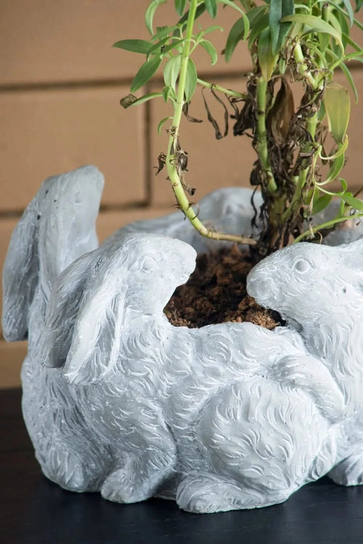 10x8x6.5' 5 Bunny Cement Planter Default -DTYStore