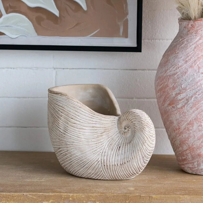 11.5x6.7x7.7' Sand and Cement Nautilus Shell Planter with Textured Beige Finish Default -DTYStore