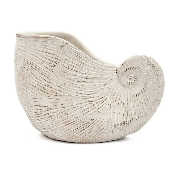 11.5x6.7x7.7' Sand and Cement Nautilus Shell Planter with Textured Beige Finish Default -DTYStore