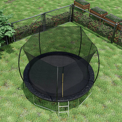 12FT Trampoline (Double-side color pad) ,  Trampoline for Kids and Adults with Enclosure Net and Ladder,Curved fence pole - DTY Store