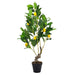 12x12x31.5'H Artificial PEVA Lemon Tree with Lifelike Greenery and Black Plastic Pot Default -DTYStore