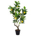 12x12x31.5'H Artificial PEVA Lemon Tree with Lifelike Greenery and Black Plastic Pot Default -DTYStore