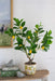 12x12x31.5'H Artificial PEVA Lemon Tree with Lifelike Greenery and Black Plastic Pot Default -DTYStore