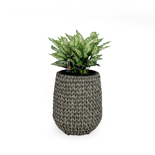 13.4' Self-watering Wicker Planter - Garden Decoration Pot - Gray - Round Default -DTYStore