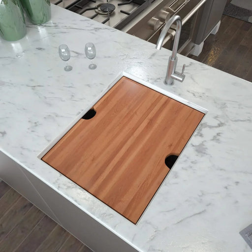 15' Undermount Kitchen Sink - 16 Gauge Stainless Steel Ledge Workstation, Brushed Nickel Finish, 15x19x10 Inches Default -DTYStore