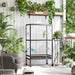 54" Extra Large Portable Rolling Iron Aviary Flight Bird Cage And Accessories - DTYStore