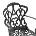 Cast Aluminum Patio Dining Chair 2PCS With Black Frame and Cushions In Random Colors - DTYStore