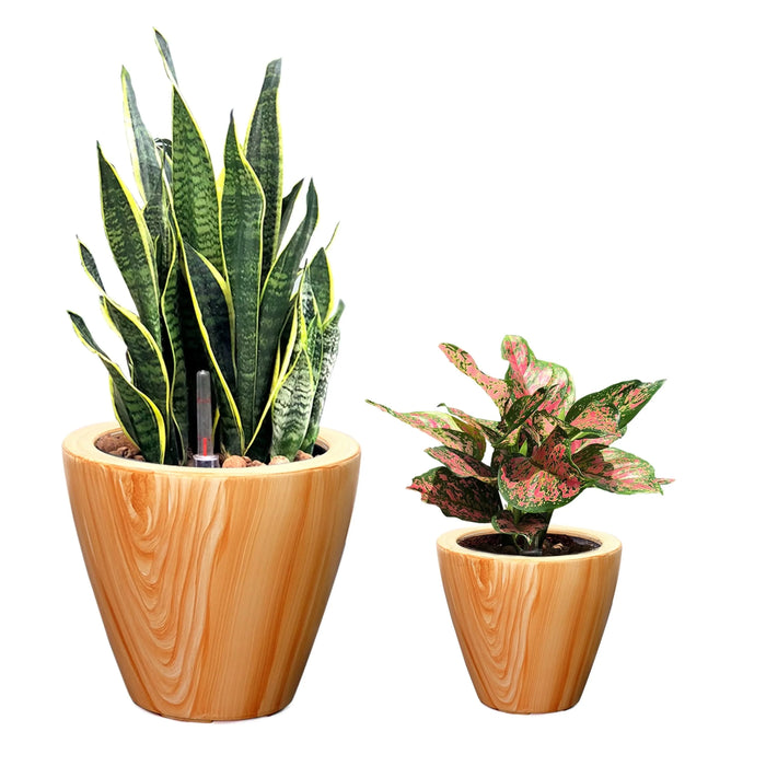 2-Pack 10 in. Light Wood Plastic Self-watering Planter Pot Default -DTYStore