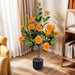 2-Pack Artificial Camellia Trees, 36 in Faux Potted Plants with Orange Flowers for Indoor or Outdoor Decor, Porch, Office, or Home Use Default -DTYStore
