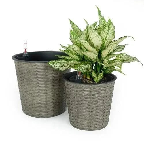 2-Pack Catleza Self-watering Wicker Decor Planter for Indoor and Outdoor - Round Gray -DTYStore