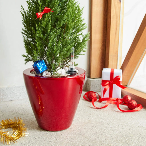 2-Pack Smart Self-watering Planter Pot for Indoor and Outdoor - Red - Round Cone Default -DTYStore