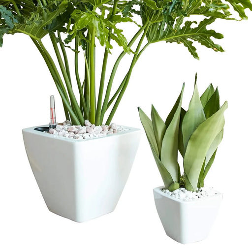 2-Pack Smart Self-watering Planter Pot for Indoor and Outdoor - White - Square Cone Default -DTYStore