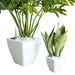 2-Pack Smart Self-watering Planter Pot for Indoor and Outdoor - White - Square Cone Default -DTYStore