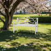 Outdoor Garden Patio Bench,Iron Metal Steel Frame Park Bench with Backrest and Armrest, Slatted Seat for Park, Yard & Porch, Balcony, Accommodates 2-3 People,White - DTYStore