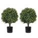 22in Artificial Topiary Boxwood Ball Trees – Faux Evergreen Potted Shrubs for Porch, Patio, Entryway, or Indoor Living Room Decor, 2pcs/set Default -DTYStore