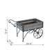 24.4x12.6x15.4' Rustic Black Trolley Cart Plant Stand, Planter Default -DTYStore