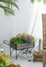 24.4x12.6x15.4' Rustic Black Trolley Cart Plant Stand, Planter Default -DTYStore