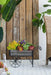 24.4x12.6x15.4' Rustic Black Trolley Cart Plant Stand, Planter Default -DTYStore