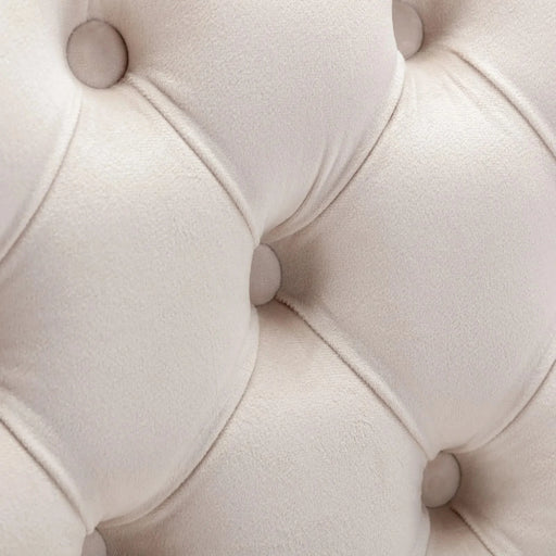 26' Counter Height Bar Stools Set of 2, Modern Velvet Barstools with Button Back&Rivet Trim Upholstered Kitchen Island Chairs with Sturdy Chromed Metal Base Legs Farmhouse Bar Stools, (Beige,2 Pack) Default -DTYStore