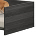 Ash Gray 47" Wide Modern Comfy Pet Bed with Cushion and Side Storage Compartment - DTYStore