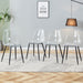 Modern minimalist transparent dining chair, plastic chair, armless crystal chair, Nordic creative makeup stool, negotiation chair, set of 4 pieces, black metal legs,TW-1200 - DTYStore