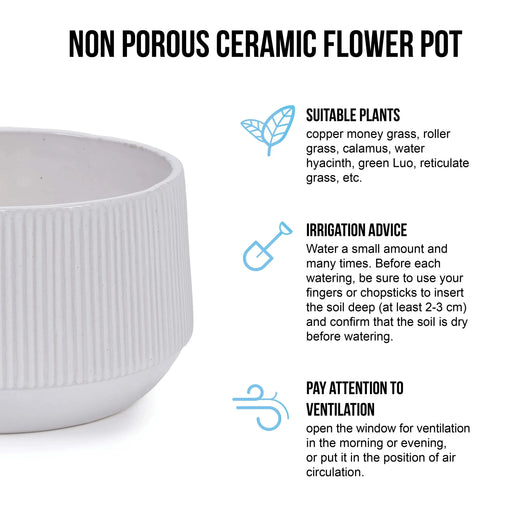 2 Pieces Ceramic Flowerpot, Modern Planter for Patio, Garden or Windowsills - Gloss White Default -DTYStore