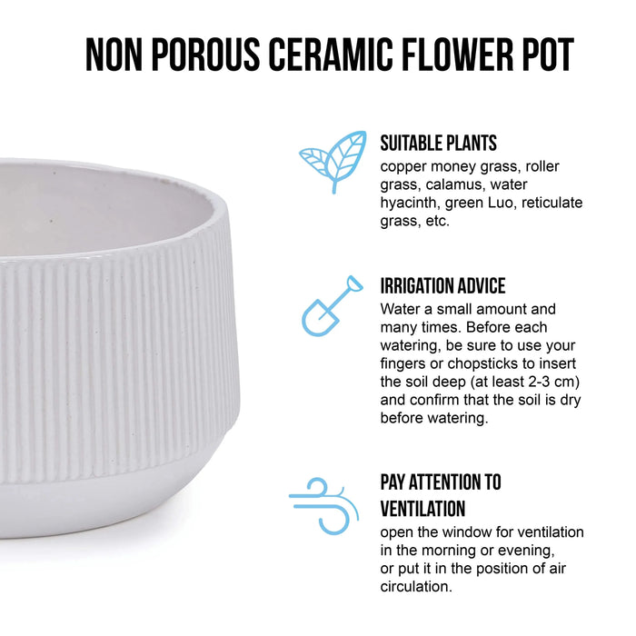 2 Pieces Ceramic Flowerpot, Modern Planter for Patio, Garden or Windowsills - Gloss White Default -DTYStore