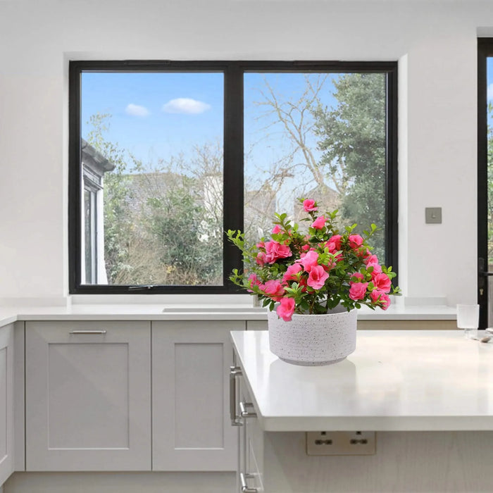 2 Pieces Ceramic Flowerpot, Modern Planter for Patio, Garden or Windowsills - Milk White Default -DTYStore