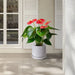 2 Pieces Ceramic Planter Pot, Modern Indoor Outdoor Flowerpot for Patio, Garden, or Windowsills - Gloss White - DTY Store