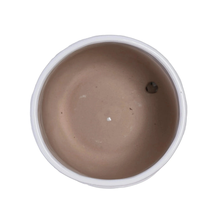 2 Pieces Ceramic Planter Pot, Modern Indoor Outdoor Flowerpot for Patio, Garden, or Windowsills - Gloss White Default -DTYStore