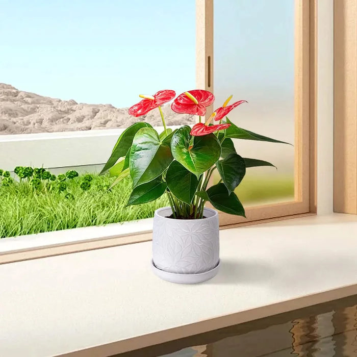 2 Pieces Ceramic Planter Pot, Modern Indoor Outdoor Flowerpot for Patio, Garden, or Windowsills - Gloss White Default -DTYStore