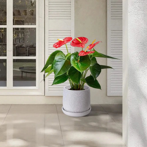 2 Pieces Ceramic Planter Pot, Modern Indoor Outdoor Flowerpot for Patio, Garden, or Windowsills - Gloss White Default -DTYStore