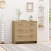 4 Drawers Rattan Cabinet,for Bedroom,Living Room,Dining Room,Hallways,Easy Assembly - DTYStore