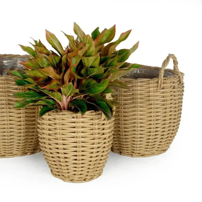 3-Pack Catleza Wicker Multi-purposes Basket with handler - Planter basket Espresso -DTYStore