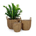 3-Pack Catleza Wicker Multi-purposes Basket with handler - Planter basket Natural -DTYStore