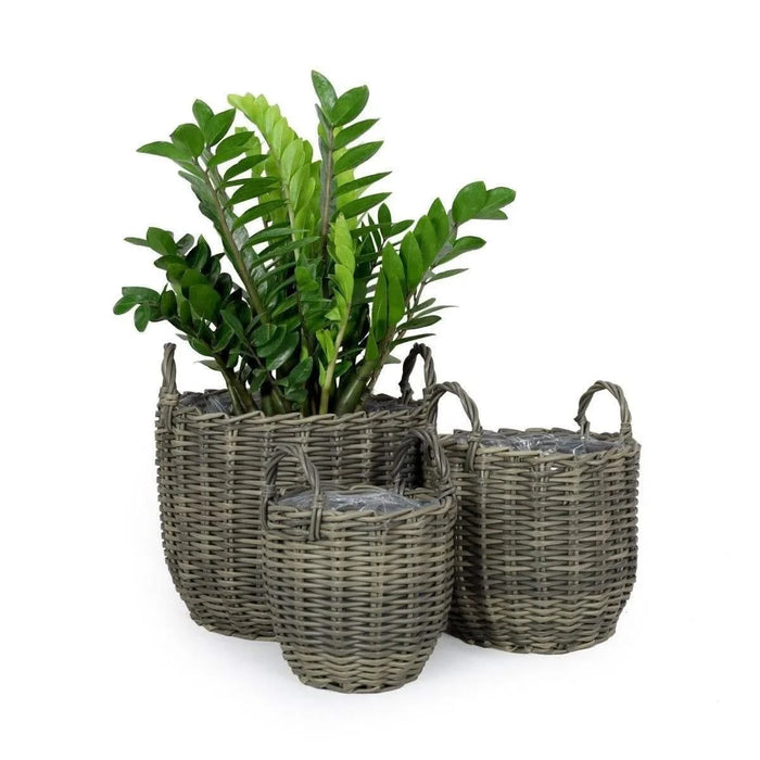 3-Pack Catleza Wicker Multi-purposes Basket with handler - Planter basket Gray -DTYStore