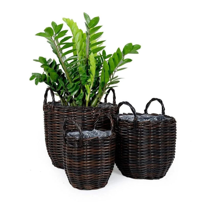 3-Pack Catleza Wicker Multi-purposes Basket with handler - Planter basket Espresso -DTYStore