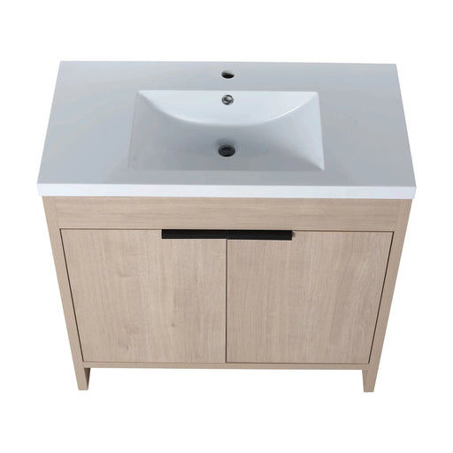 36 Inch Freestanding Bathroom Vanity with White Resin Sink & 2 Soft-Close Cabinet Doors (BVB02436PLO-GRB3640) Default -DTYStore
