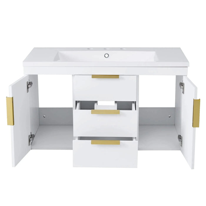 36'' Wall Mounted Bathroom Vanity, Floating Bathroom Storage Cabinet with 2 Drawers, Solid Wood Bathroom Cabinet (Same as N710S236003K) Default -DTYStore