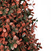 3FT Artificial Boxwood Topiary Tree for Outdoor Porch and Patio Decoration, Red , 2pcs/set Default -DTYStore